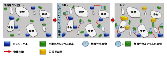 触媒性化合物の働き