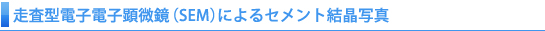 走査型電子電子顕微鏡（SSM）によるセメント結晶写真